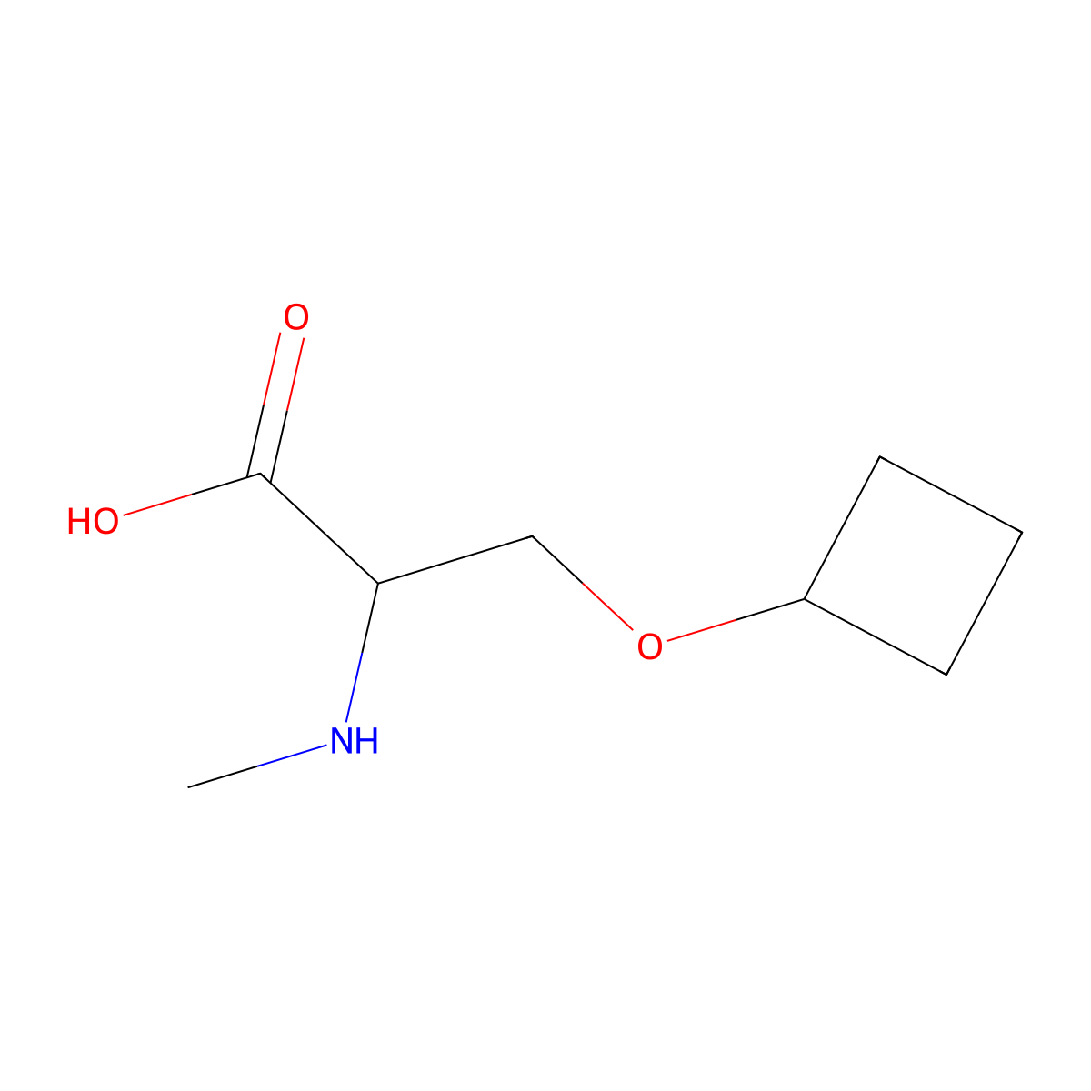 3-Cyclobutoxy-2-(methylamino)propanoic acid molecular structure, CAS 1536450-80-2