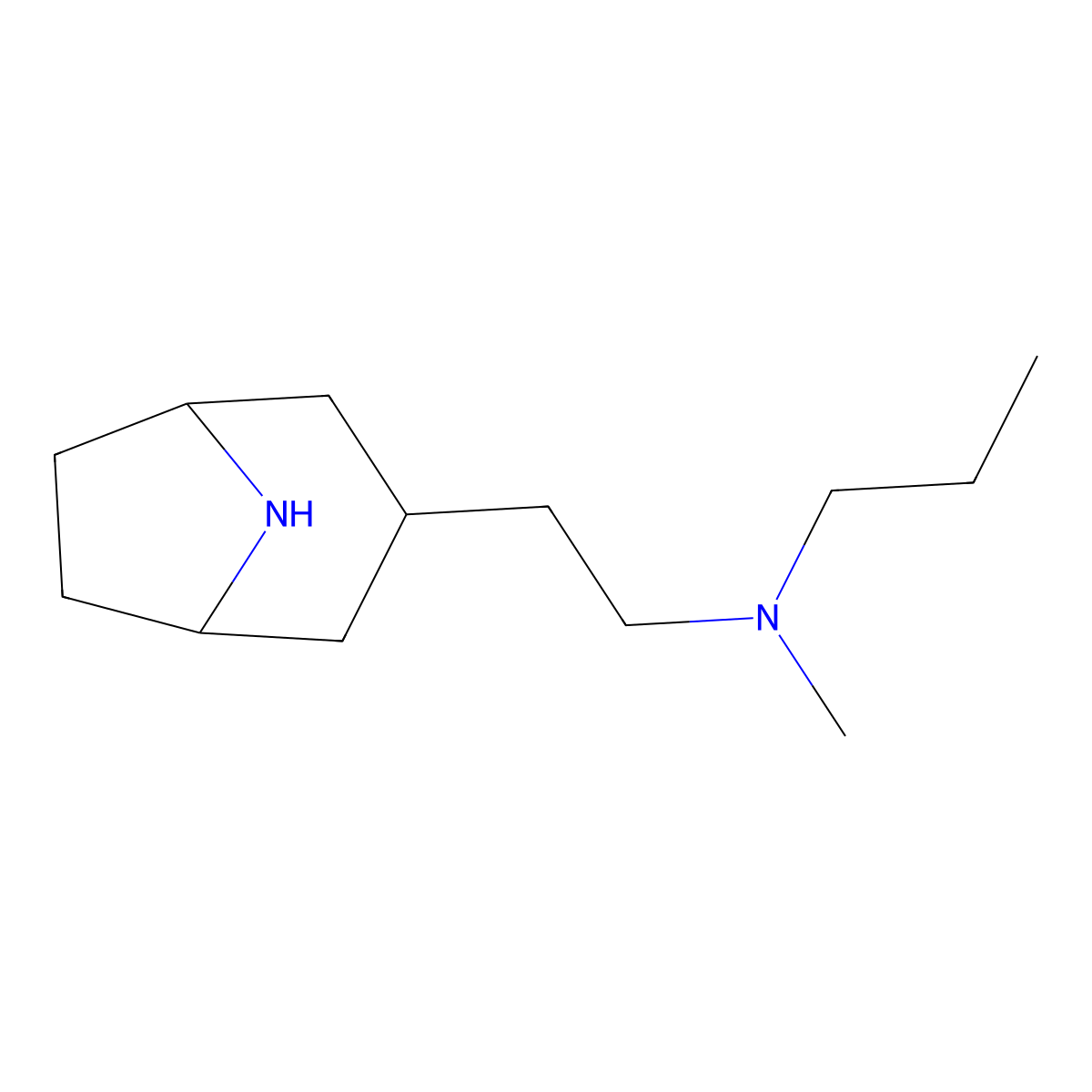 (2-{8-Azabicyclo[3.2.1]octan-3-yl}ethyl)(methyl)propylamine molecular structure, CAS 1538440-36-6