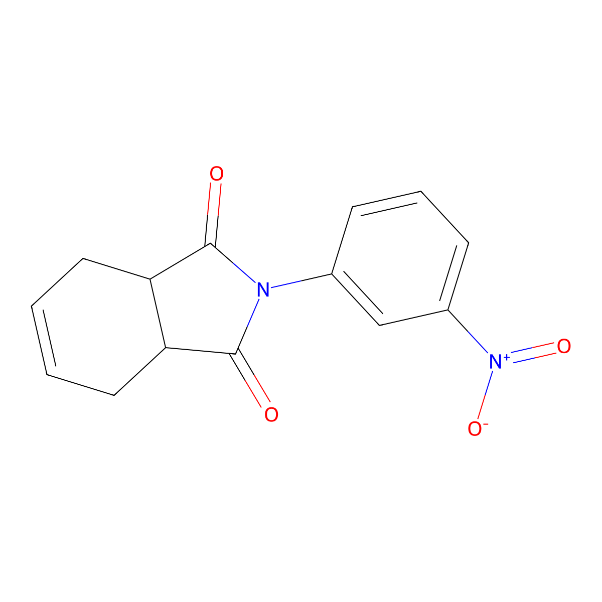2-(3-nitrophenyl)-3a,4,7,7a-tetrahydro-1H-isoindole-1,3(2H)-dione molecular structure, CAS 153983-24-5