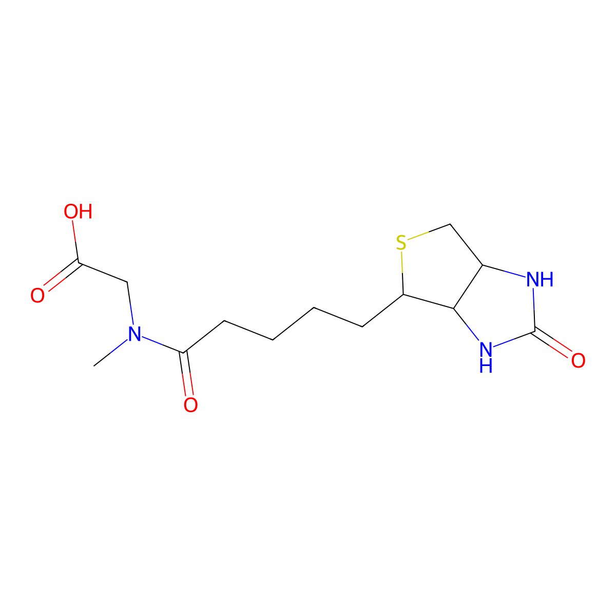 Biotin-sar-oh molecular structure, CAS 154024-76-7