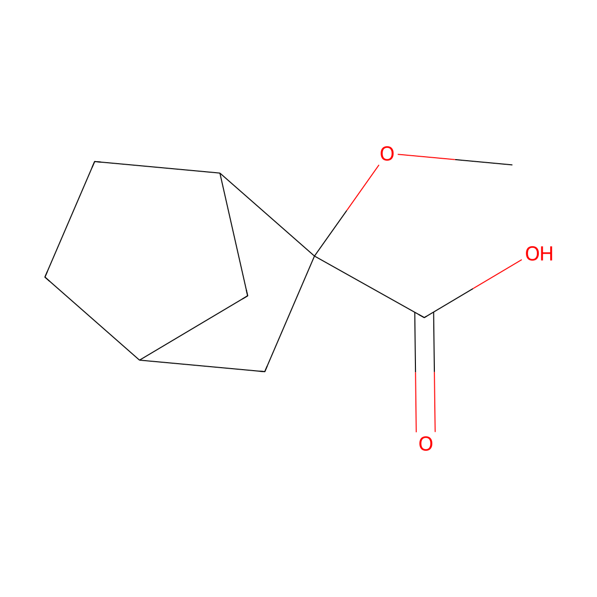 2-Methoxybicyclo[2.2.1]heptane-2-carboxylic acid molecular structure, CAS 1543565-94-1