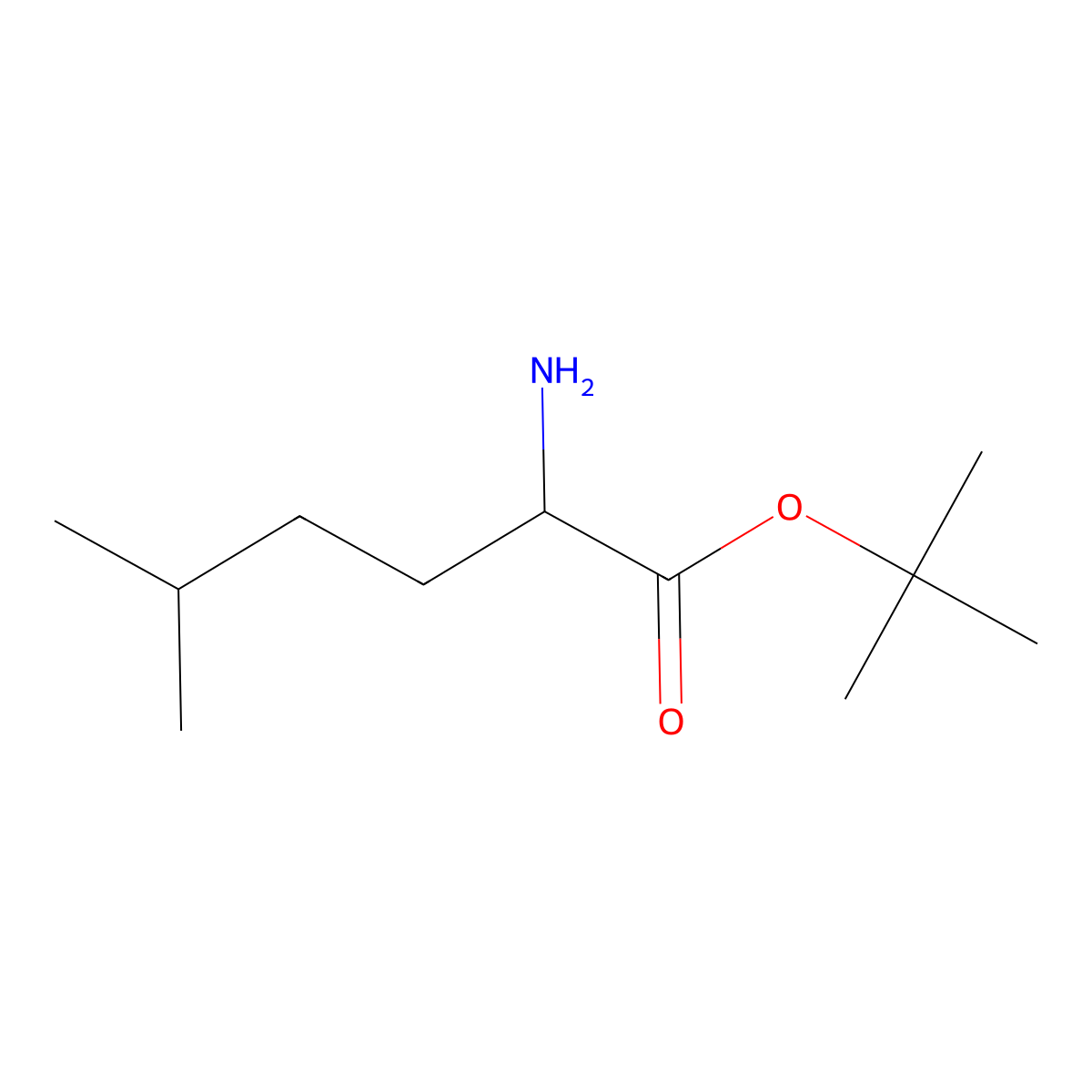 tert-Butyl 2-amino-5-methylhexanoate molecular structure, CAS 1543874-84-5