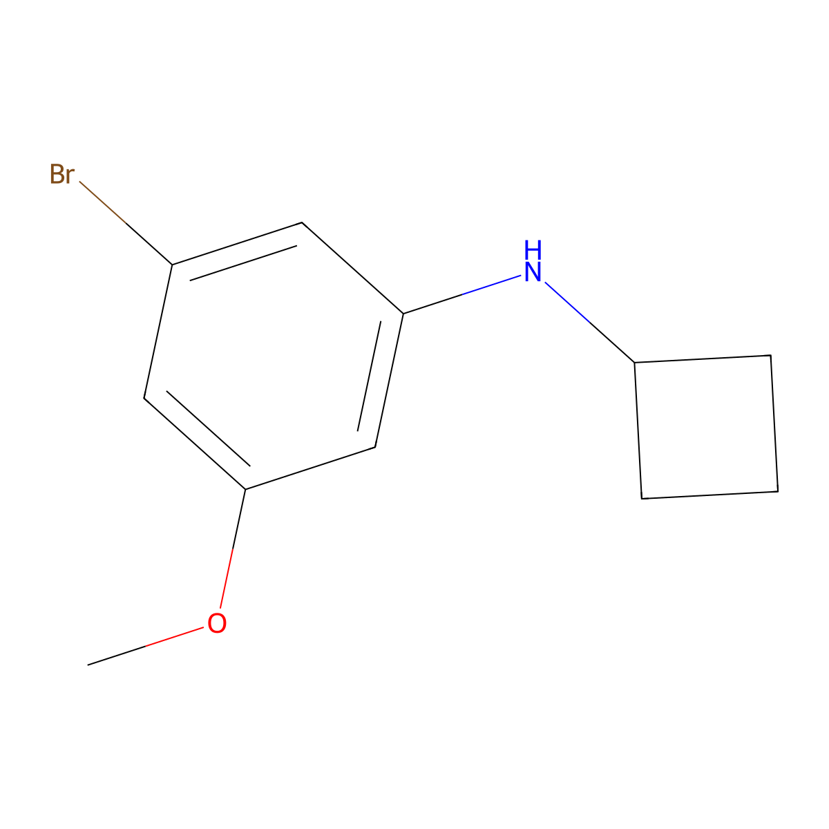3-bromo-N-cyclobutyl-5-methoxyaniline molecular structure, CAS 1544717-96-5