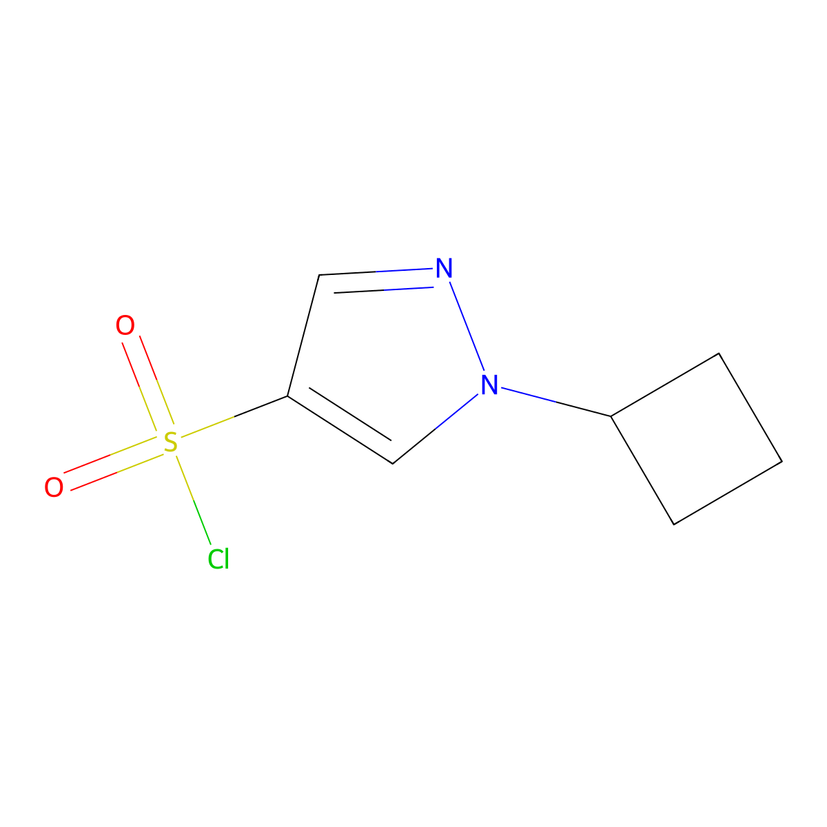 1-cyclobutyl-1H-pyrazole-4-sulfonyl chloride molecular structure, CAS 1544955-53-4