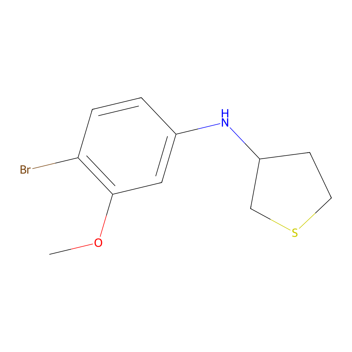 N-(4-Bromo-3-methoxyphenyl)thiolan-3-amine molecular structure, CAS 1546978-24-8