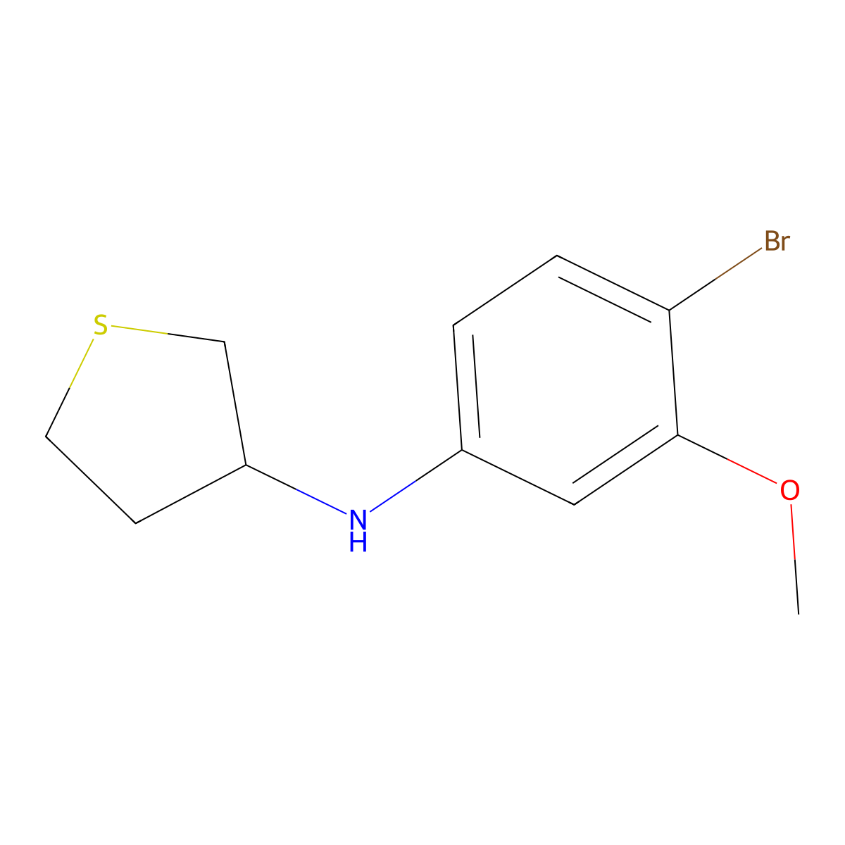 N-(4-Bromo-3-methoxyphenyl)thiolan-3-amine molecular structure, CAS 1546978-24-8