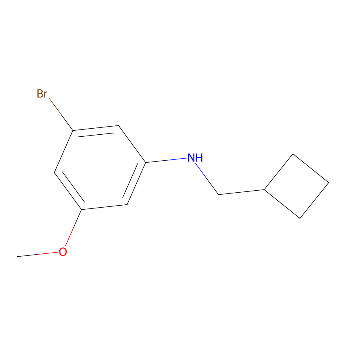3-Bromo-N-(cyclobutylmethyl)-5-methoxyaniline molecular structure, CAS 1546979-45-6