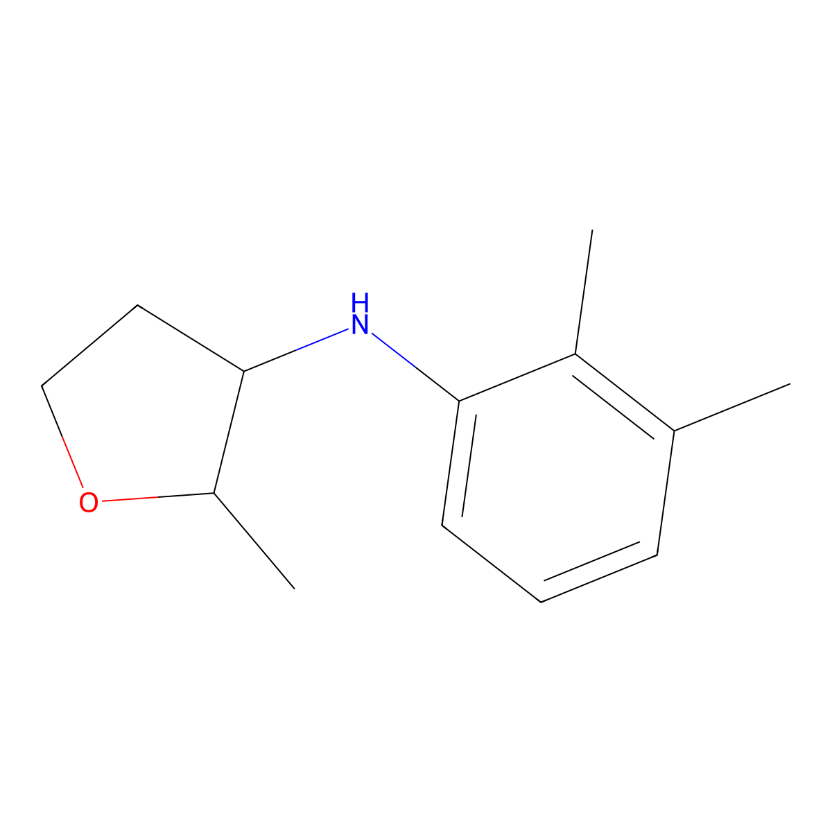 N-(2,3-dimethylphenyl)-2-methyloxolan-3-amine molecular structure, CAS 1548195-16-9