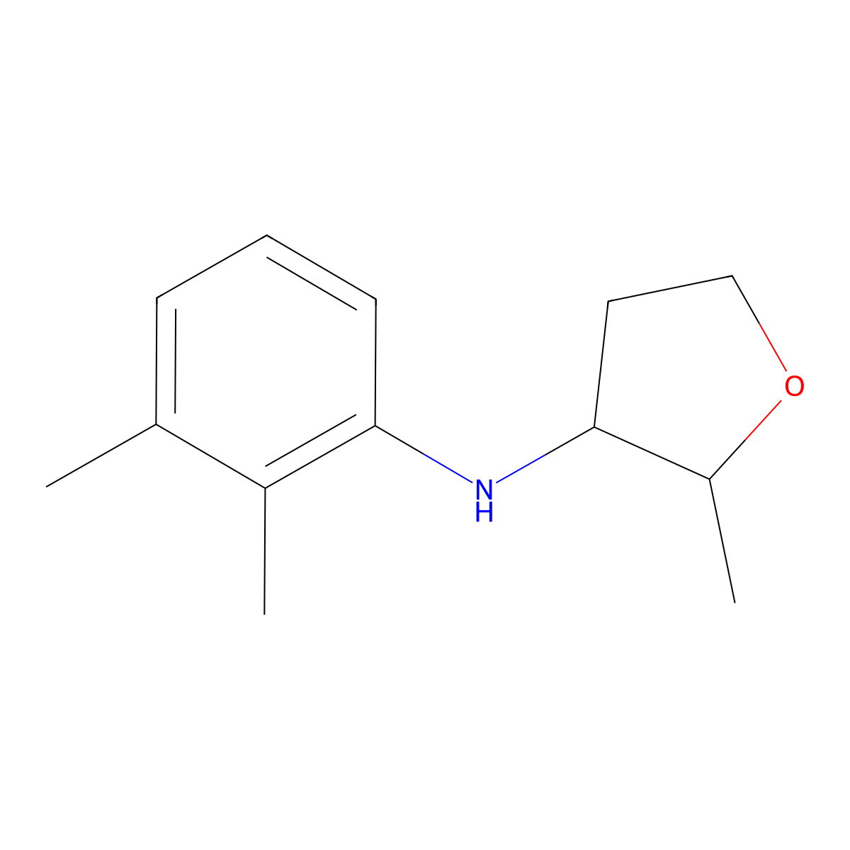 N-(2,3-dimethylphenyl)-2-methyloxolan-3-amine molecular structure, CAS 1548195-16-9