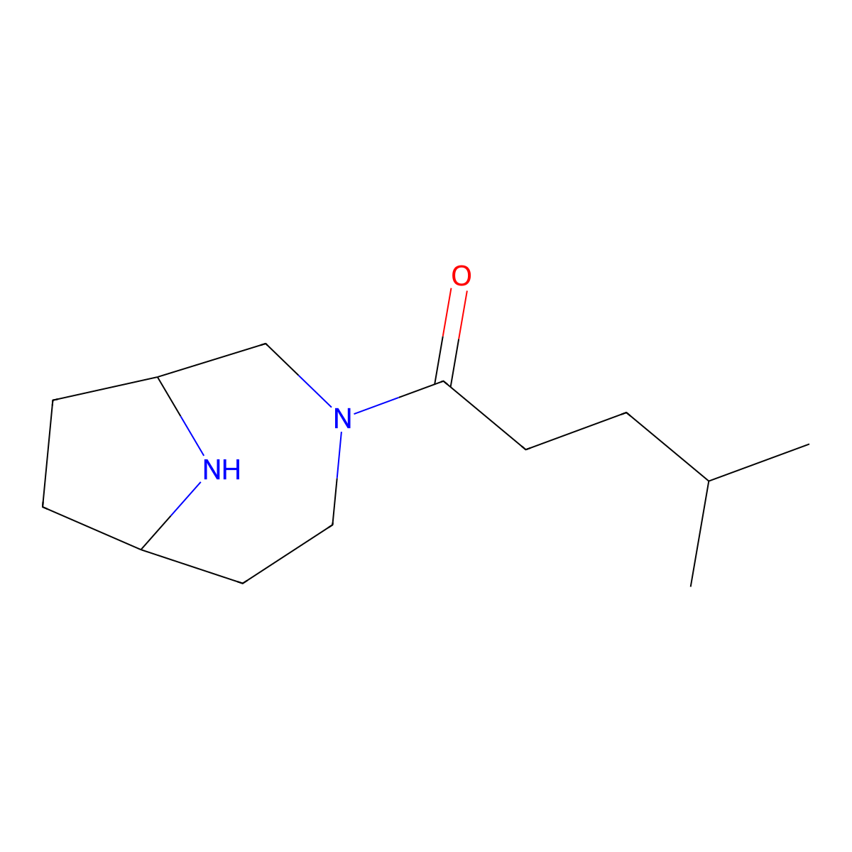 1-(3,9-Diazabicyclo[4.2.1]nonan-3-yl)-4-methylpentan-1-one molecular structure, CAS 1549548-99-3