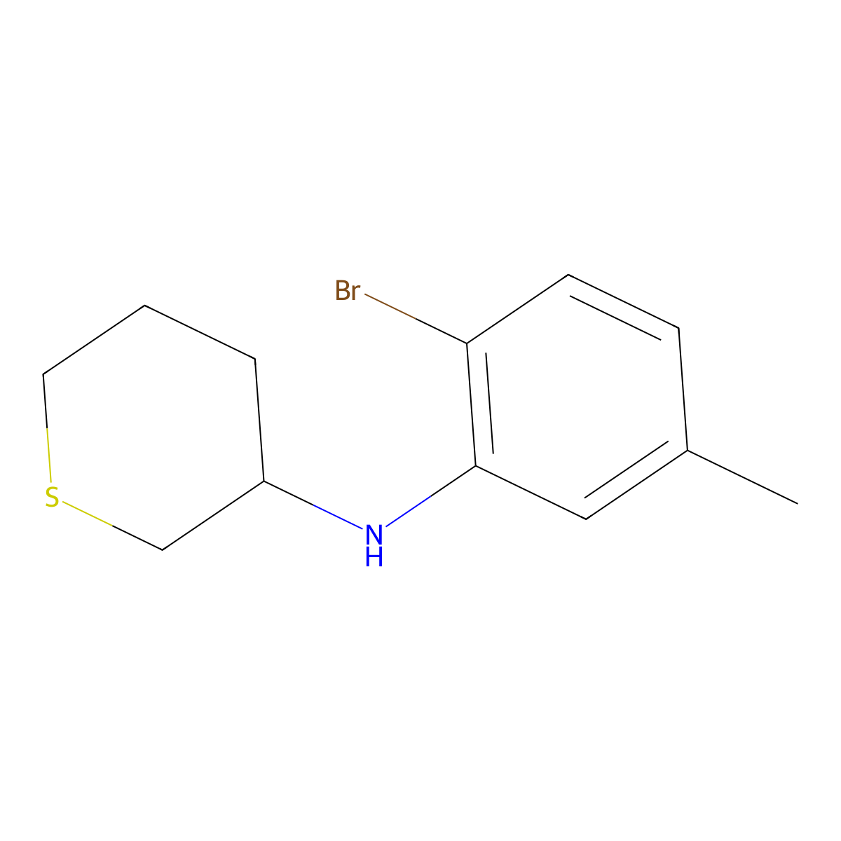 N-(2-Bromo-5-methylphenyl)thian-3-amine molecular structure, CAS 1551126-67-0