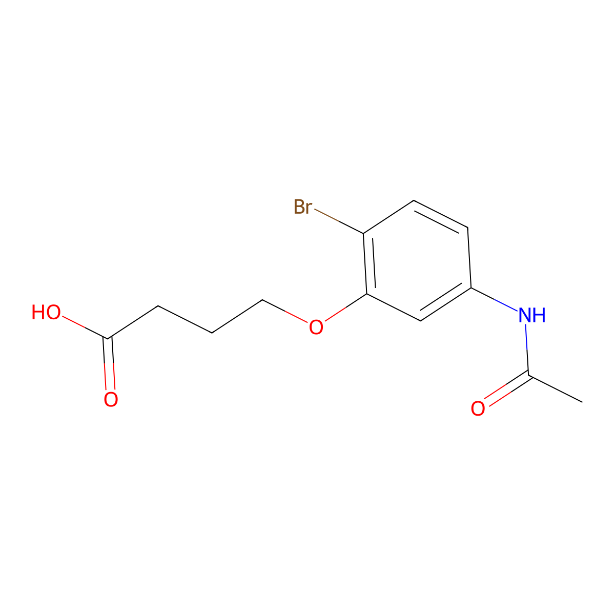 4-(2-Bromo-5-acetamidophenoxy)butanoic acid molecular structure, CAS 1554163-94-8