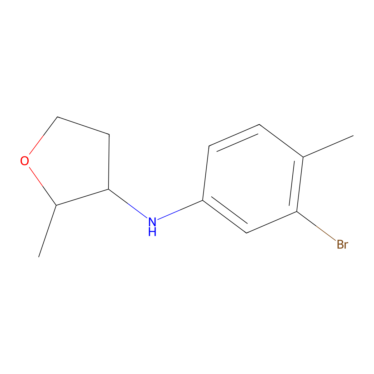 N-(3-Bromo-4-methylphenyl)-2-methyloxolan-3-amine molecular structure, CAS 1554881-51-4