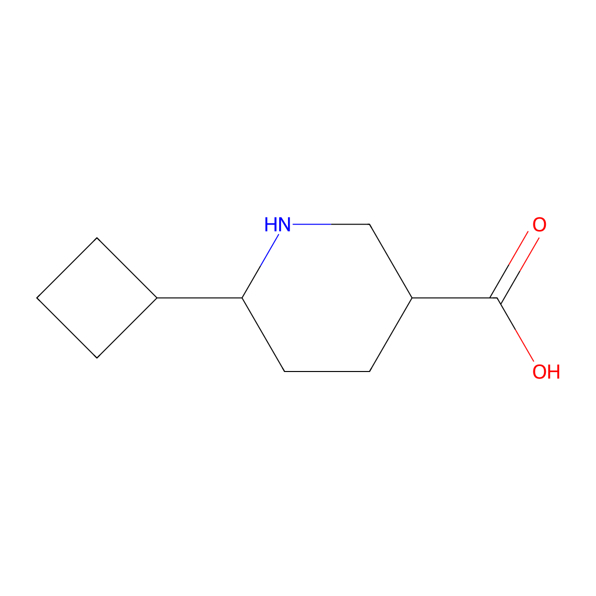 6-Cyclobutylpiperidine-3-carboxylic acid molecular structure, CAS 1554988-73-6