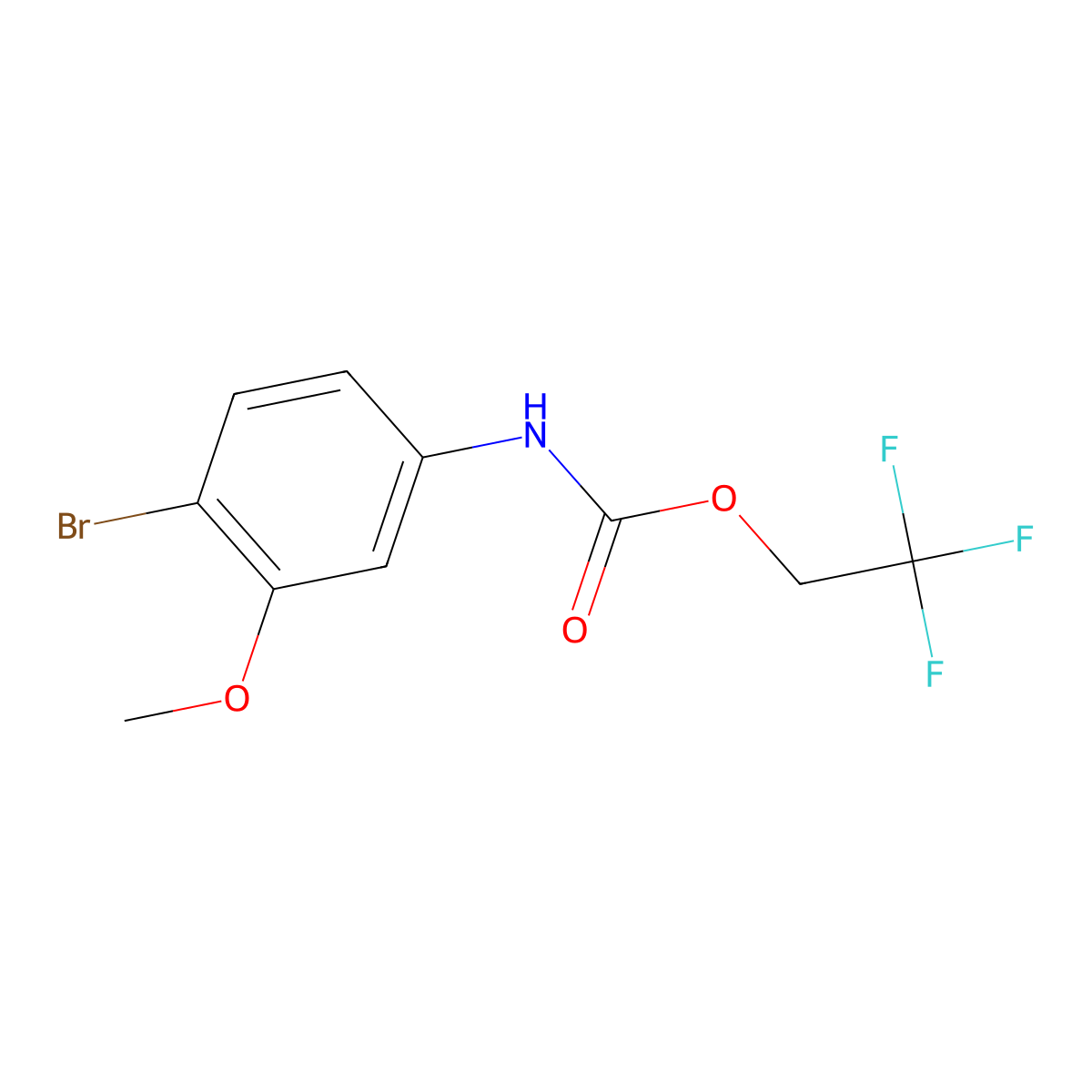 2,2,2-trifluoroethyl N-(4-bromo-3-methoxyphenyl)carbamate molecular structure, CAS 1555560-99-0
