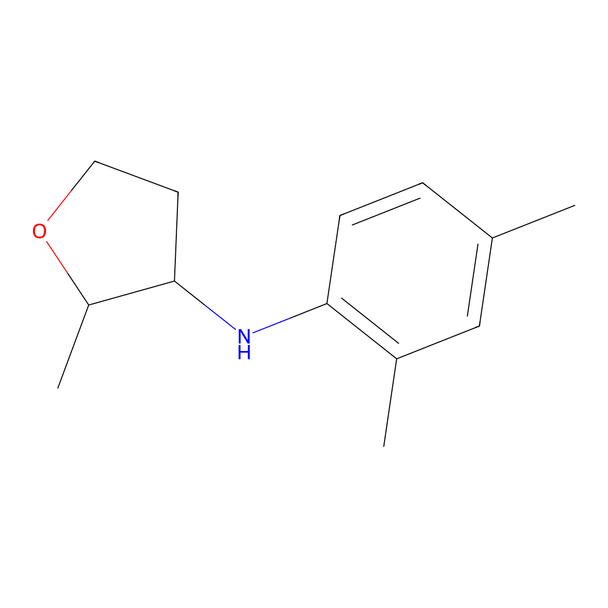 N-(2,4-Dimethylphenyl)-2-methyloxolan-3-amine molecular structure, CAS 1556431-70-9