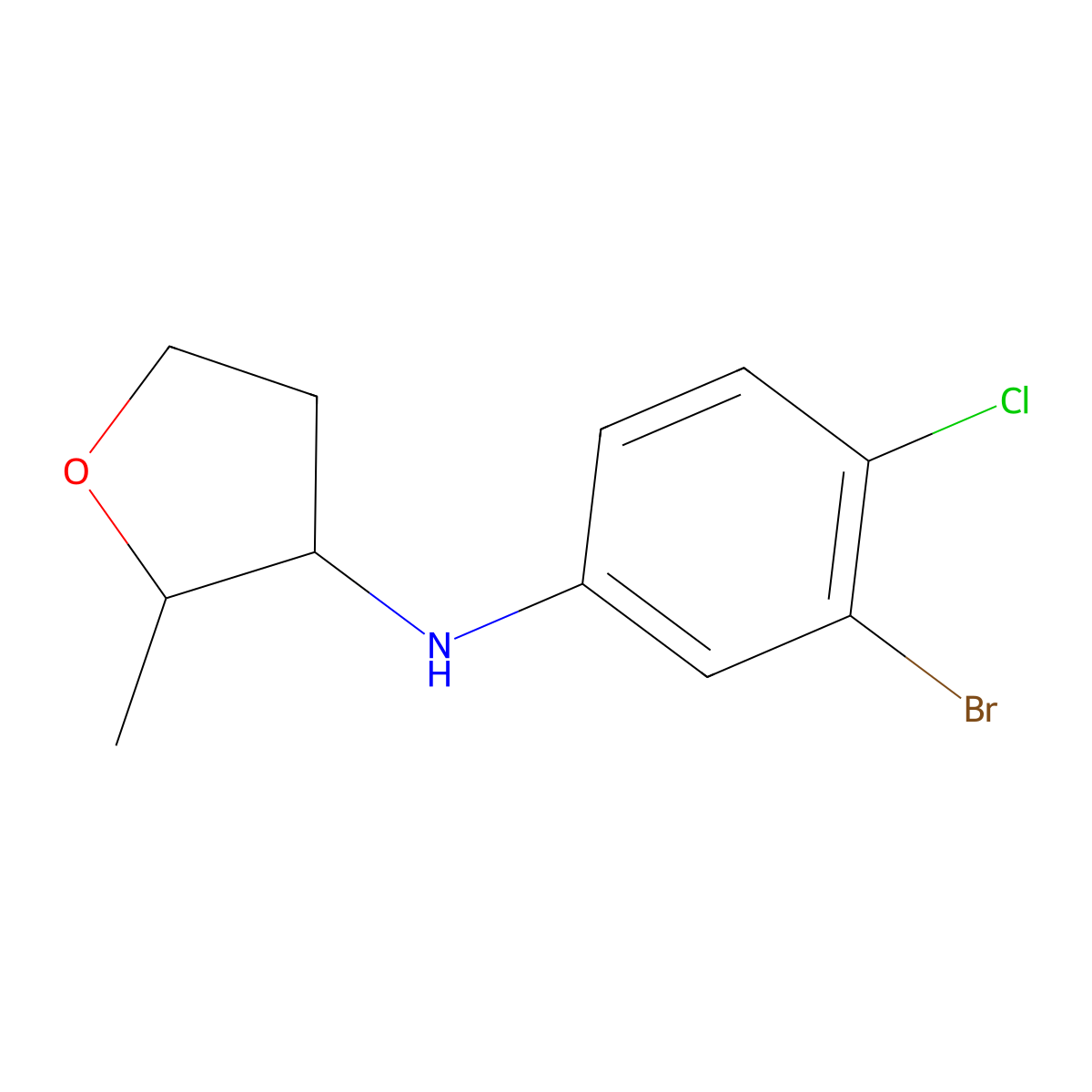 N-(3-Bromo-4-chlorophenyl)-2-methyloxolan-3-amine molecular structure, CAS 1556504-28-9
