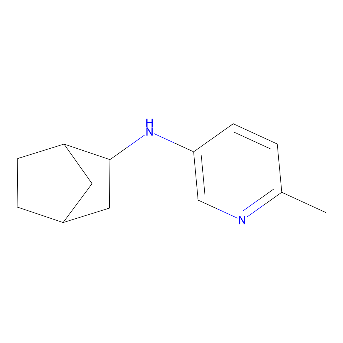 N-{bicyclo[2.2.1]heptan-2-yl}-6-methylpyridin-3-amine molecular structure, CAS 1558797-09-3