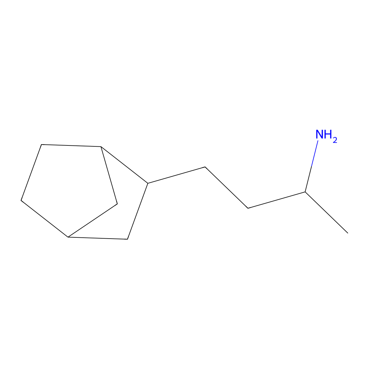 4-(Bicyclo[2.2.1]heptan-2-yl)butan-2-amine molecular structure, CAS 1558896-39-1