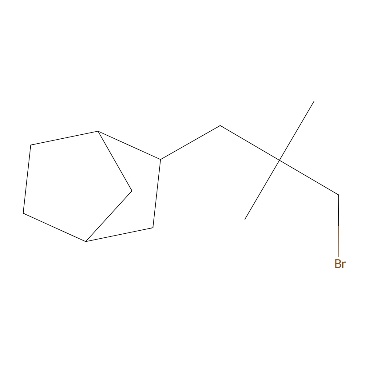 2-(3-Bromo-2,2-dimethylpropyl)bicyclo[2.2.1]heptane molecular structure, CAS 1559272-59-1