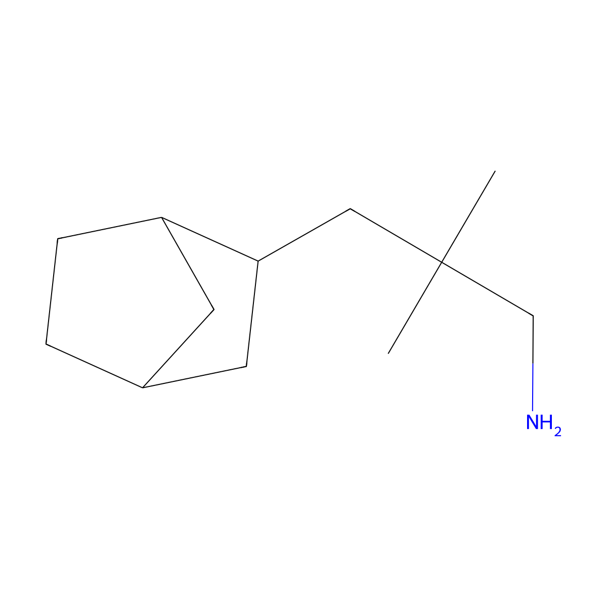 3-(Bicyclo[2.2.1]heptan-2-yl)-2,2-dimethylpropan-1-amine molecular structure, CAS 1559840-67-3
