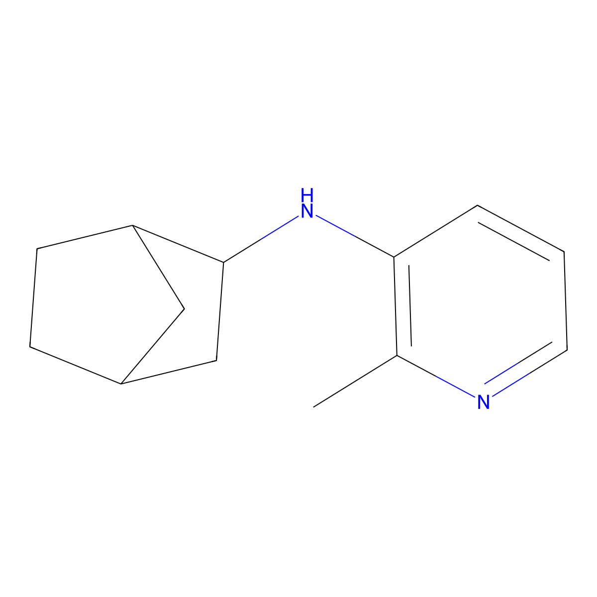 N-{bicyclo[2.2.1]heptan-2-yl}-2-methylpyridin-3-amine molecular structure, CAS 1559967-80-4