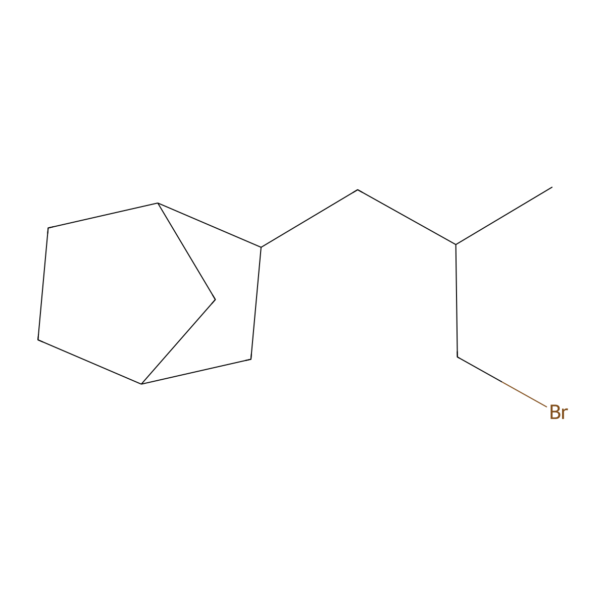 2-(3-Bromo-2-methylpropyl)bicyclo[2.2.1]heptane molecular structure, CAS 1559970-48-7