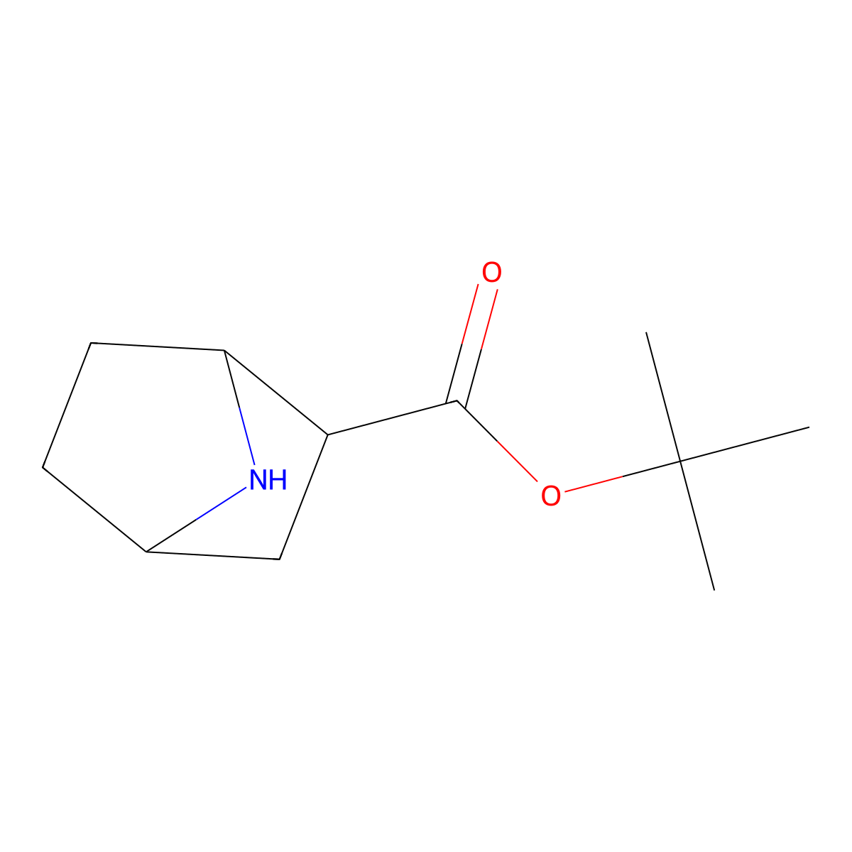 Tert-butyl 7-azabicyclo[2.2.1]heptane-2-carboxylate molecular structure, CAS 1560537-91-8