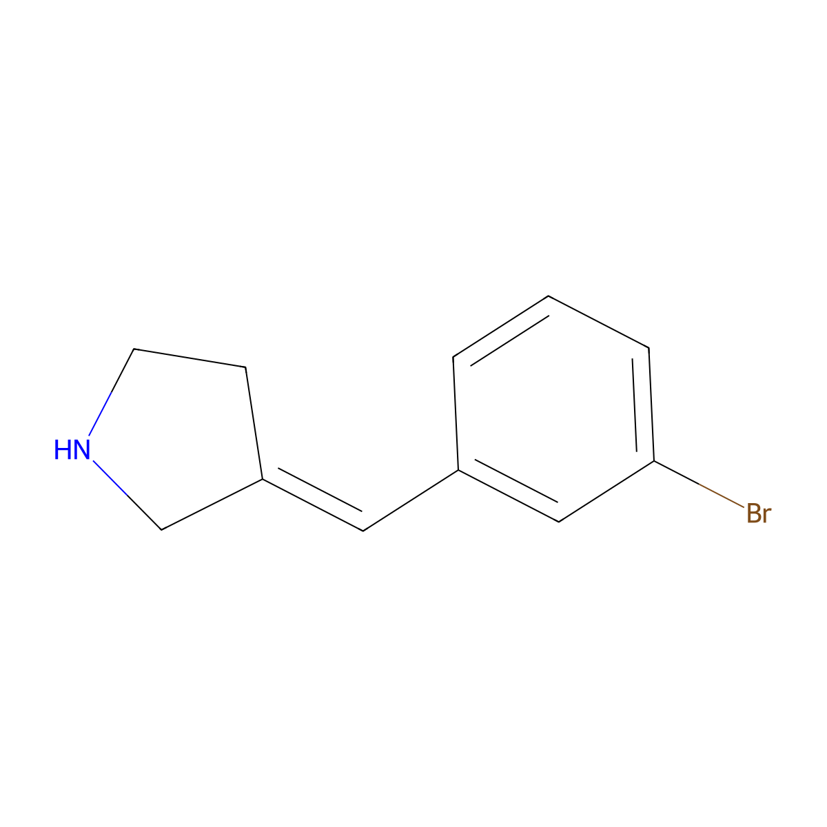 (3E)-3-[(3-bromophenyl)methylidene]pyrrolidine molecular structure, CAS 1562235-77-1