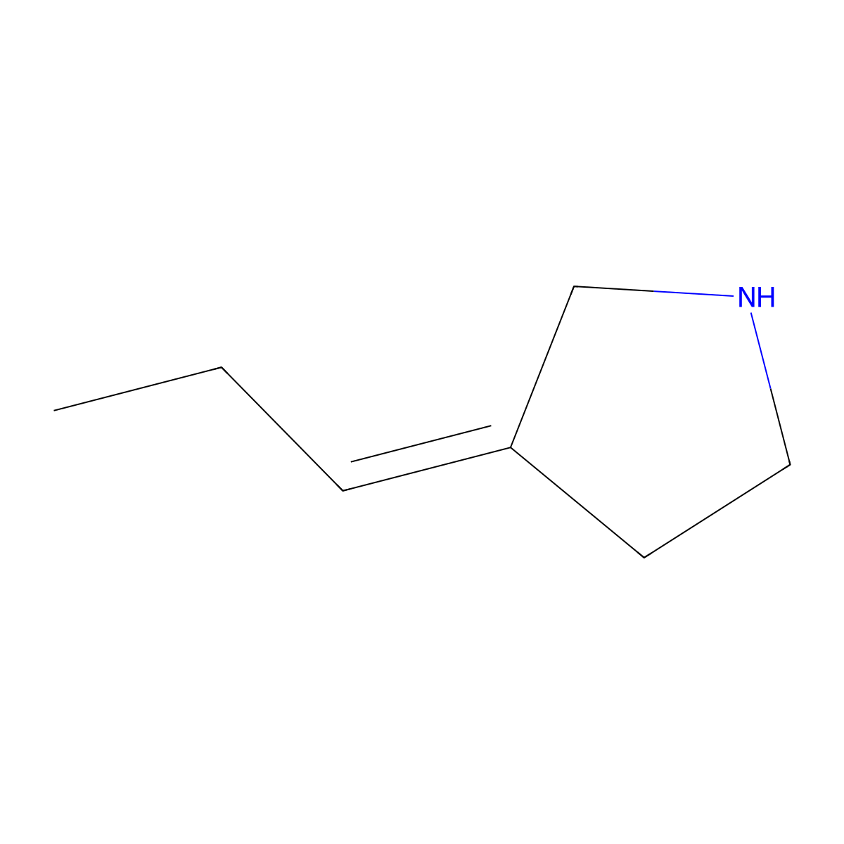 3-Propylidenepyrrolidine molecular structure, CAS 1563461-47-1
