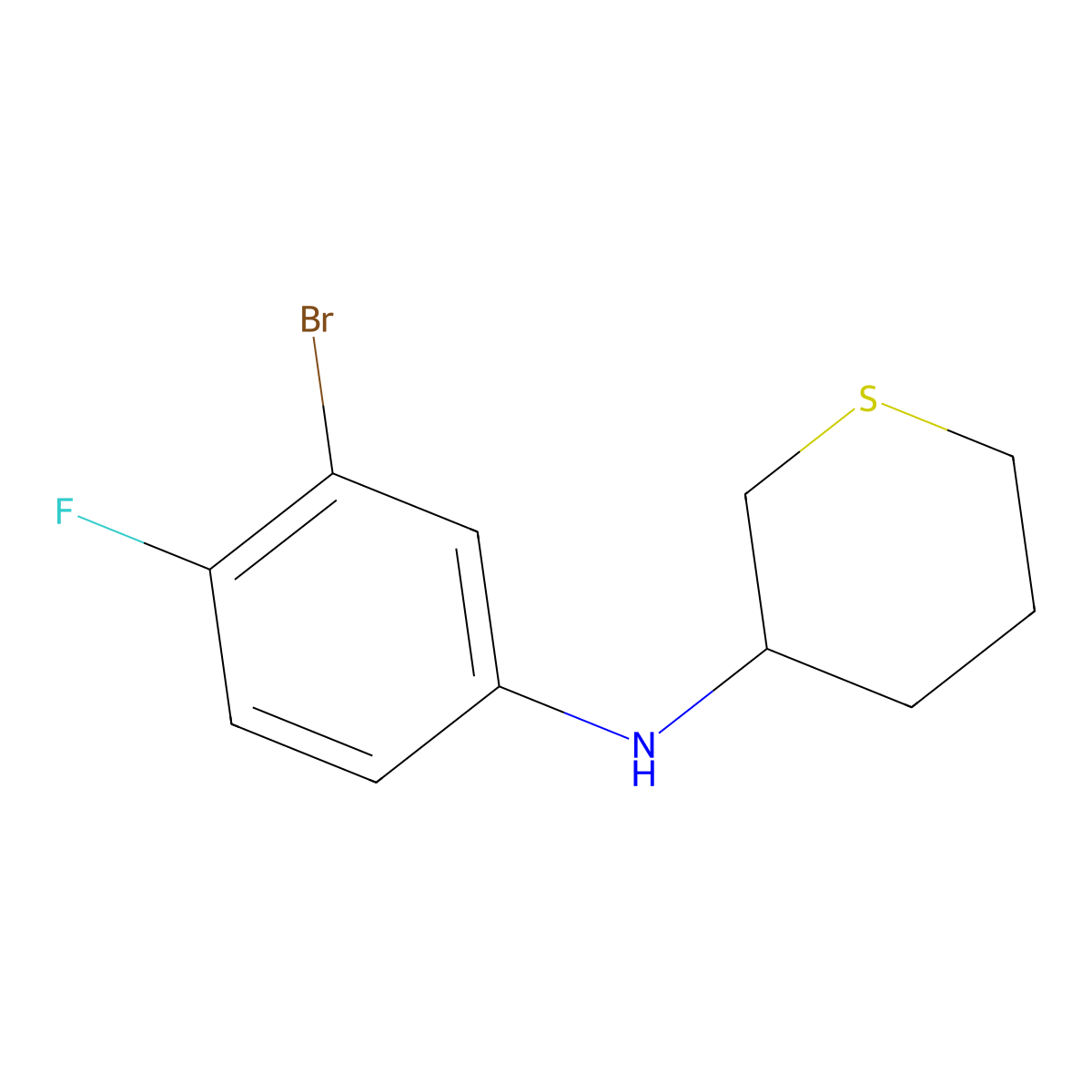 N-(3-Bromo-4-fluorophenyl)thian-3-amine molecular structure, CAS 1564530-17-1