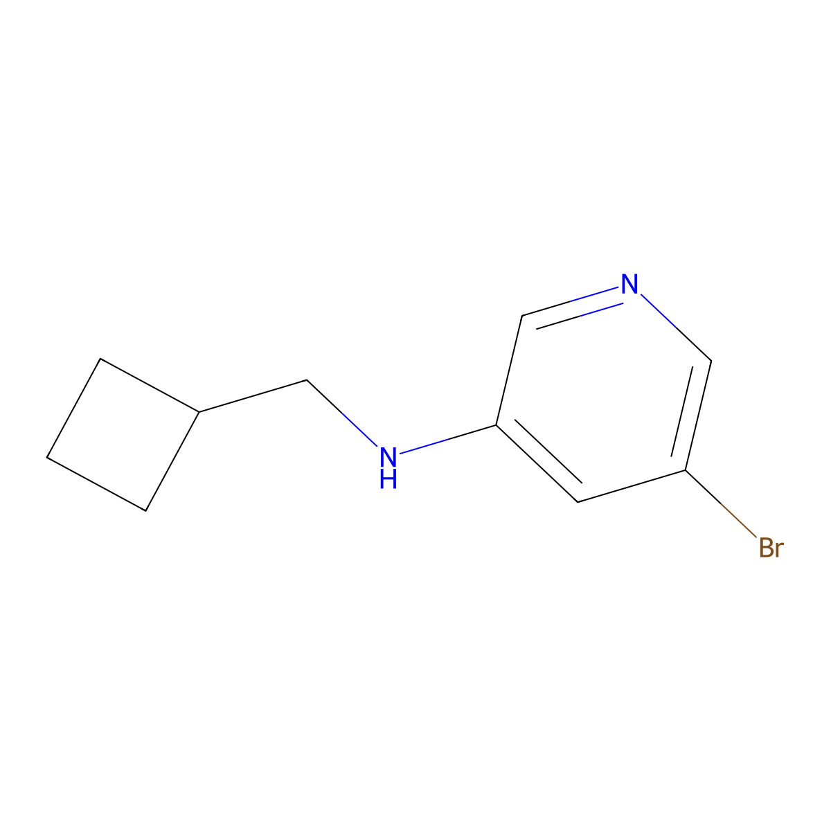 5-bromo-N-(cyclobutylmethyl)pyridin-3-amine molecular structure, CAS 1565837-32-2