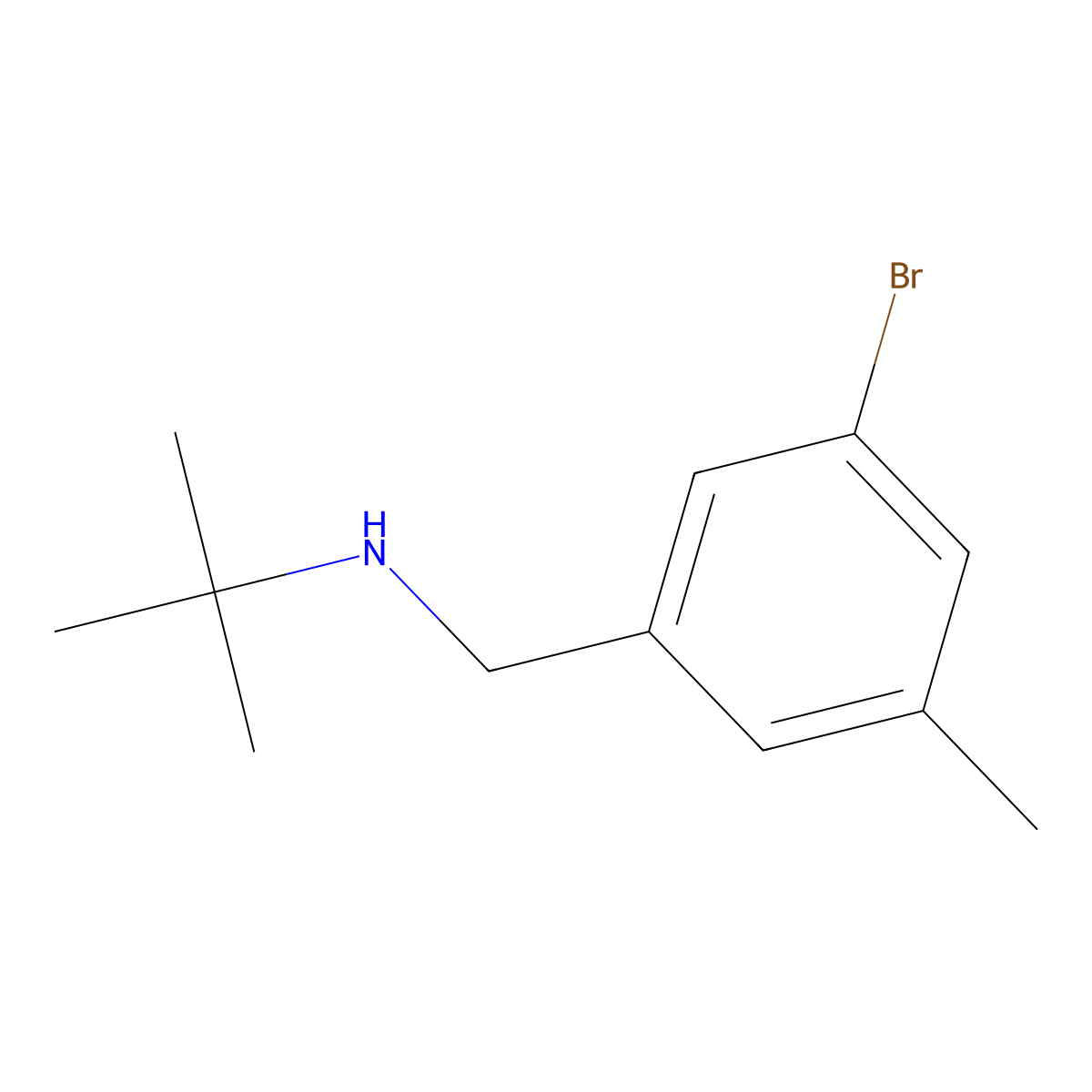 [(3-Bromo-5-methylphenyl)methyl](tert-butyl)amine molecular structure, CAS 1566397-22-5