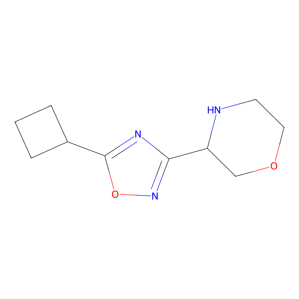 3-(5-Cyclobutyl-1,2,4-oxadiazol-3-yl)morpholine molecular structure, CAS 1566688-20-7