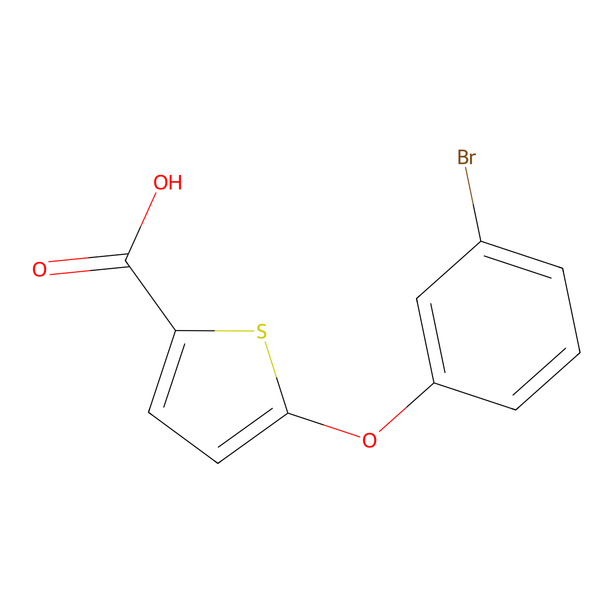 5-(3-Bromophenoxy)thiophene-2-carboxylic acid molecular structure, CAS 1567040-11-2