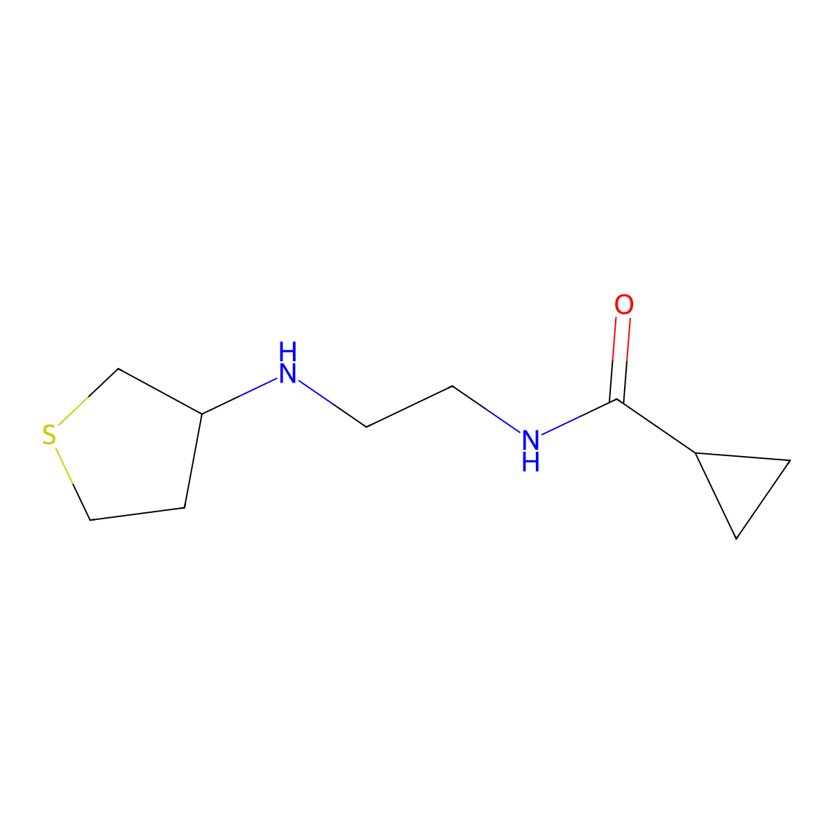 N-{2-[(thiolan-3-yl)amino]ethyl}cyclopropanecarboxamide molecular structure, CAS 1592847-85-2