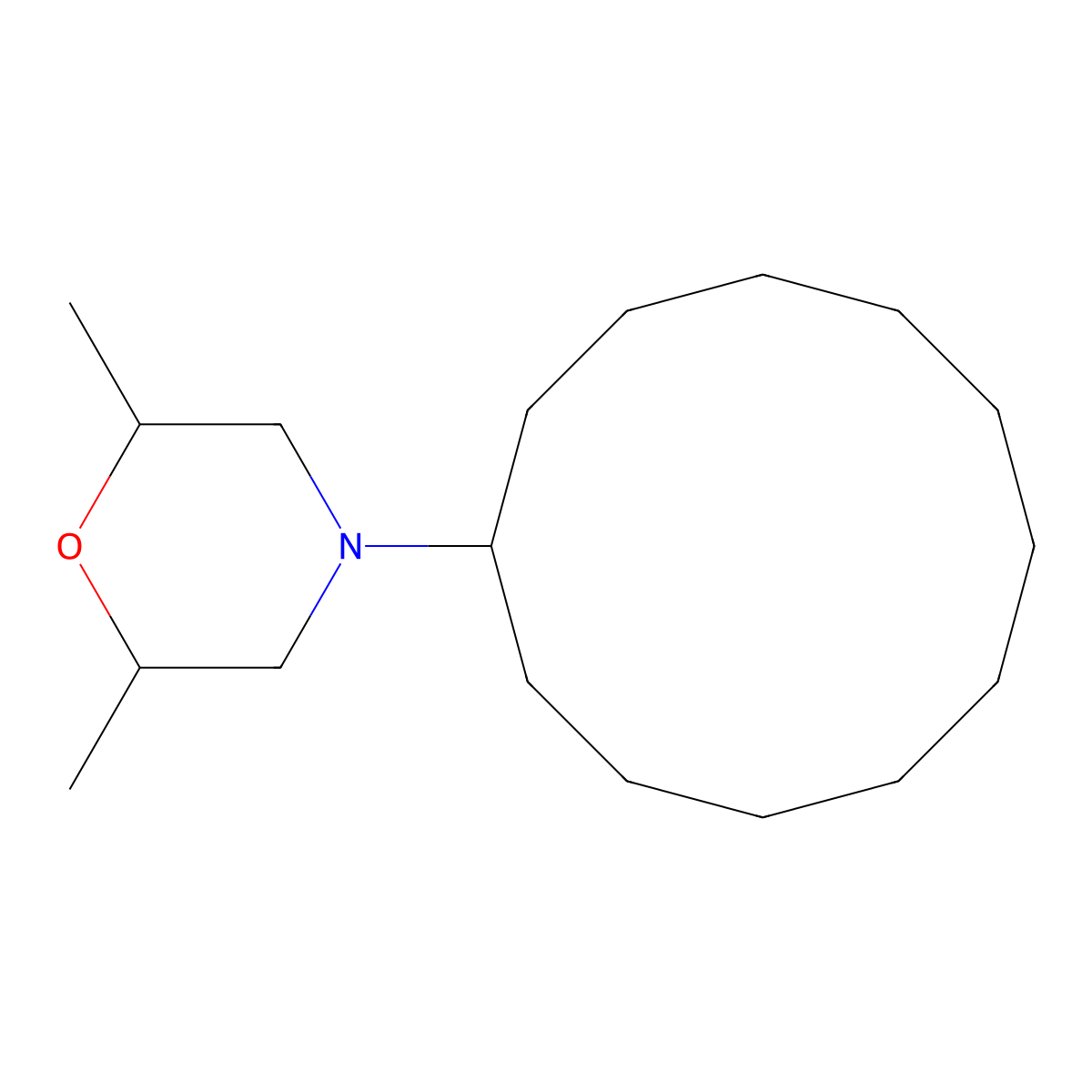 Dodemorph molecular structure, CAS 1593-77-7