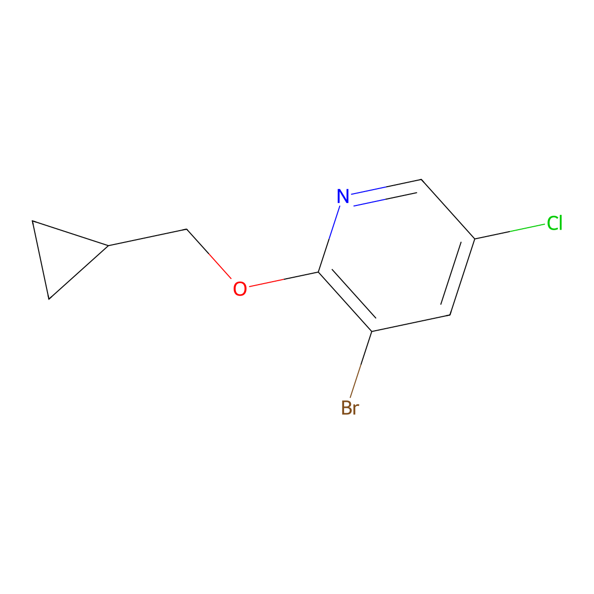 3-Bromo-5-chloro-2-(cyclopropylmethoxy)pyridine molecular structure, CAS 1593342-10-9