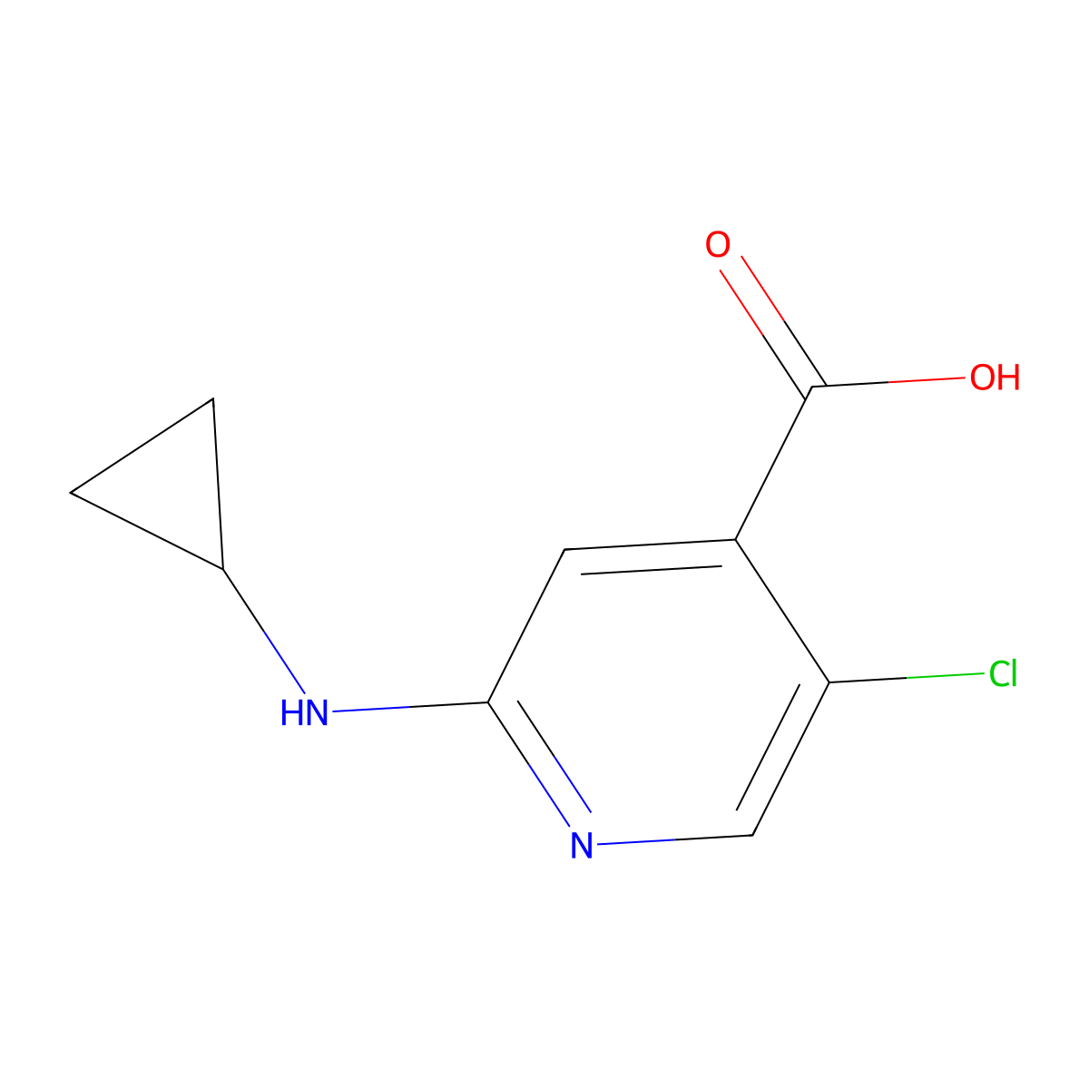5-Chloro-2-(cyclopropylamino)pyridine-4-carboxylic acid molecular structure, CAS 1597319-09-9