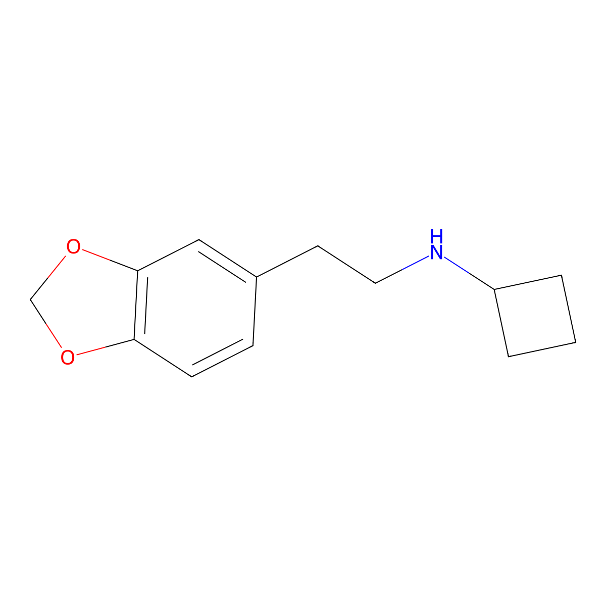 N-[2-(2H-1,3-benzodioxol-5-yl)ethyl]cyclobutanamine molecular structure, CAS 1597580-06-7