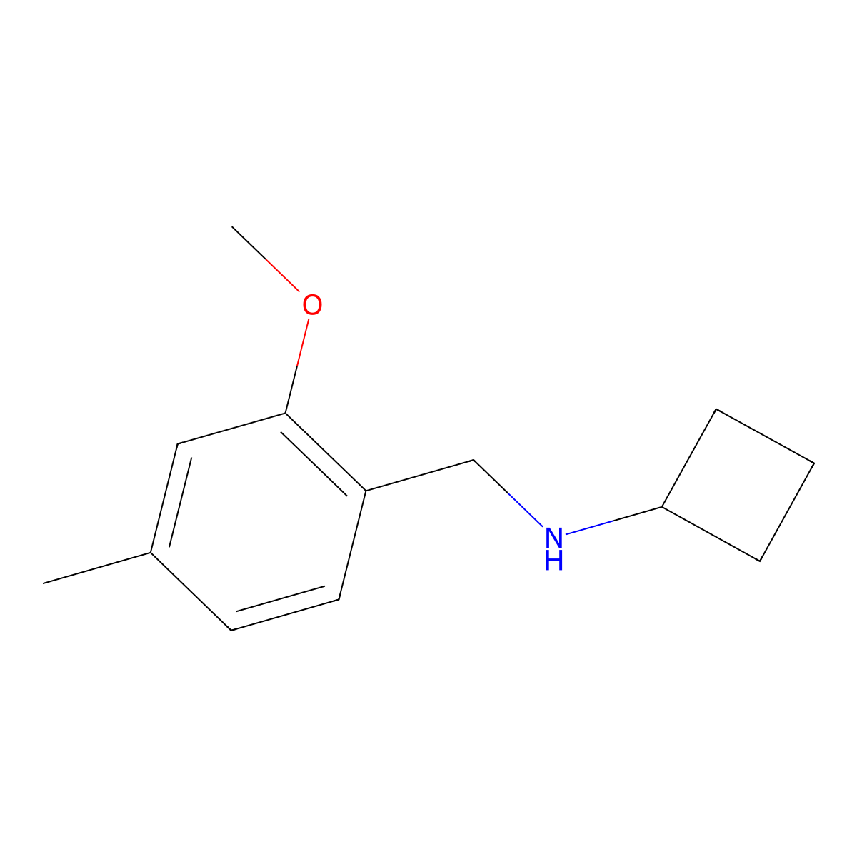 N-(2-methoxy-4-methylbenzyl)cyclobutanamine molecular structure, CAS 1598338-17-0
