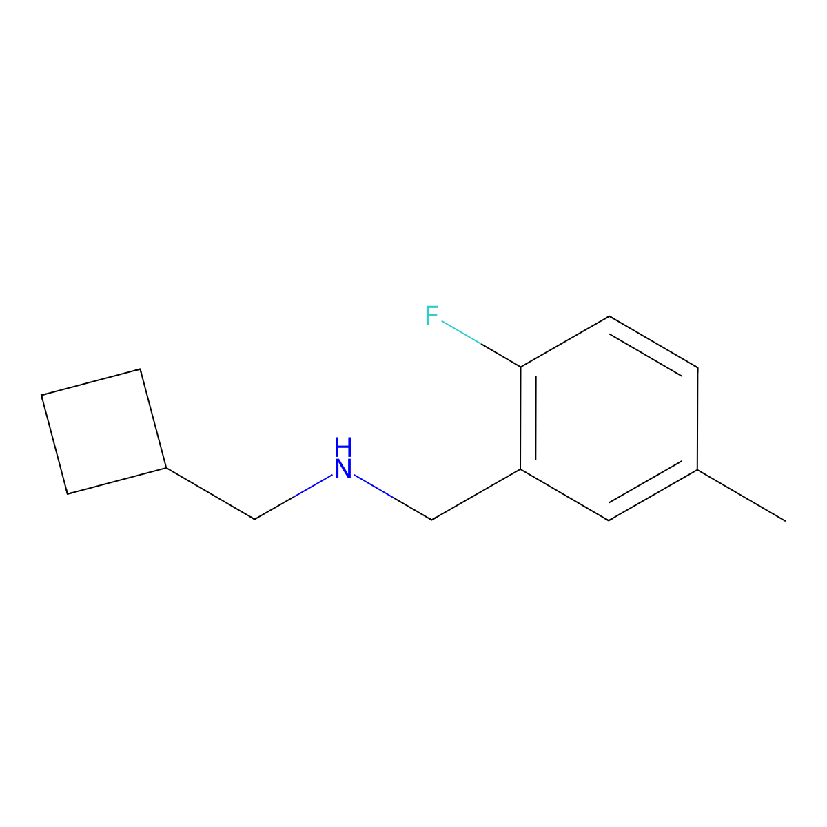 (Cyclobutylmethyl)[(2-fluoro-5-methylphenyl)methyl]amine molecular structure, CAS 1602202-88-9