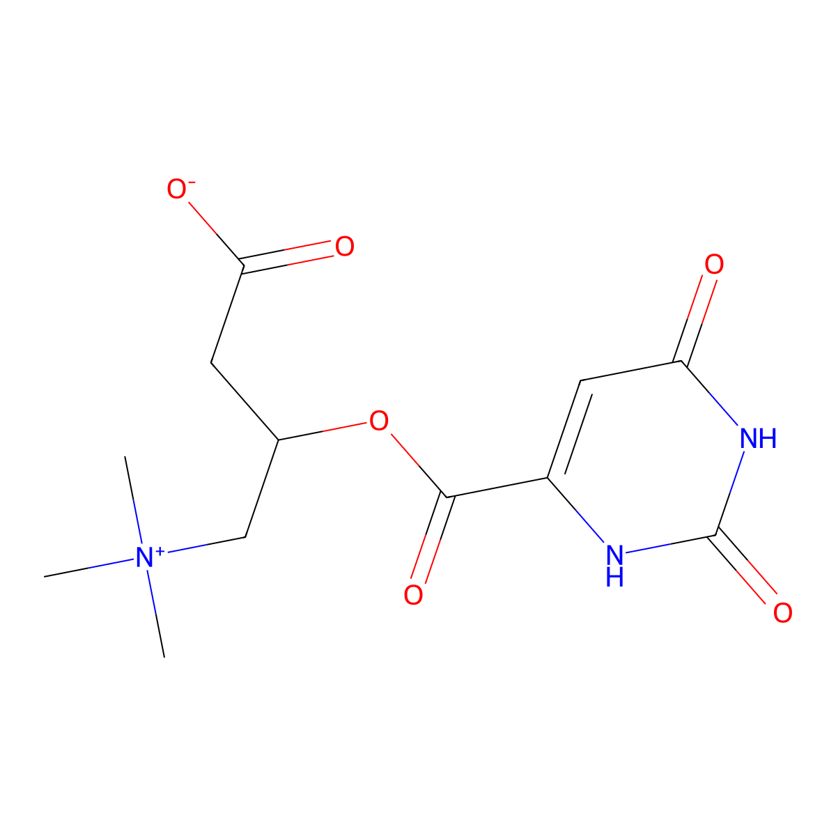 3-((2,6-Dioxo-1,2,3,6-tetrahydropyrimidine-4-carbonyl)oxy)-4-(trimethylazaniumyl)butanoate molecular structure, CAS 160468-17-7
