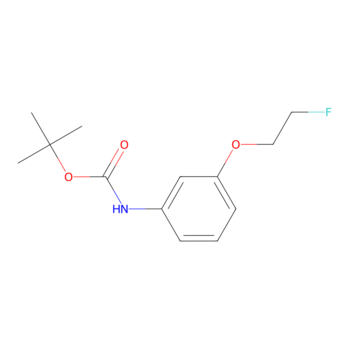 tert-butyl N-[3-(2-fluoroethoxy)phenyl]carbamate molecular structure, CAS 1609428-89-8