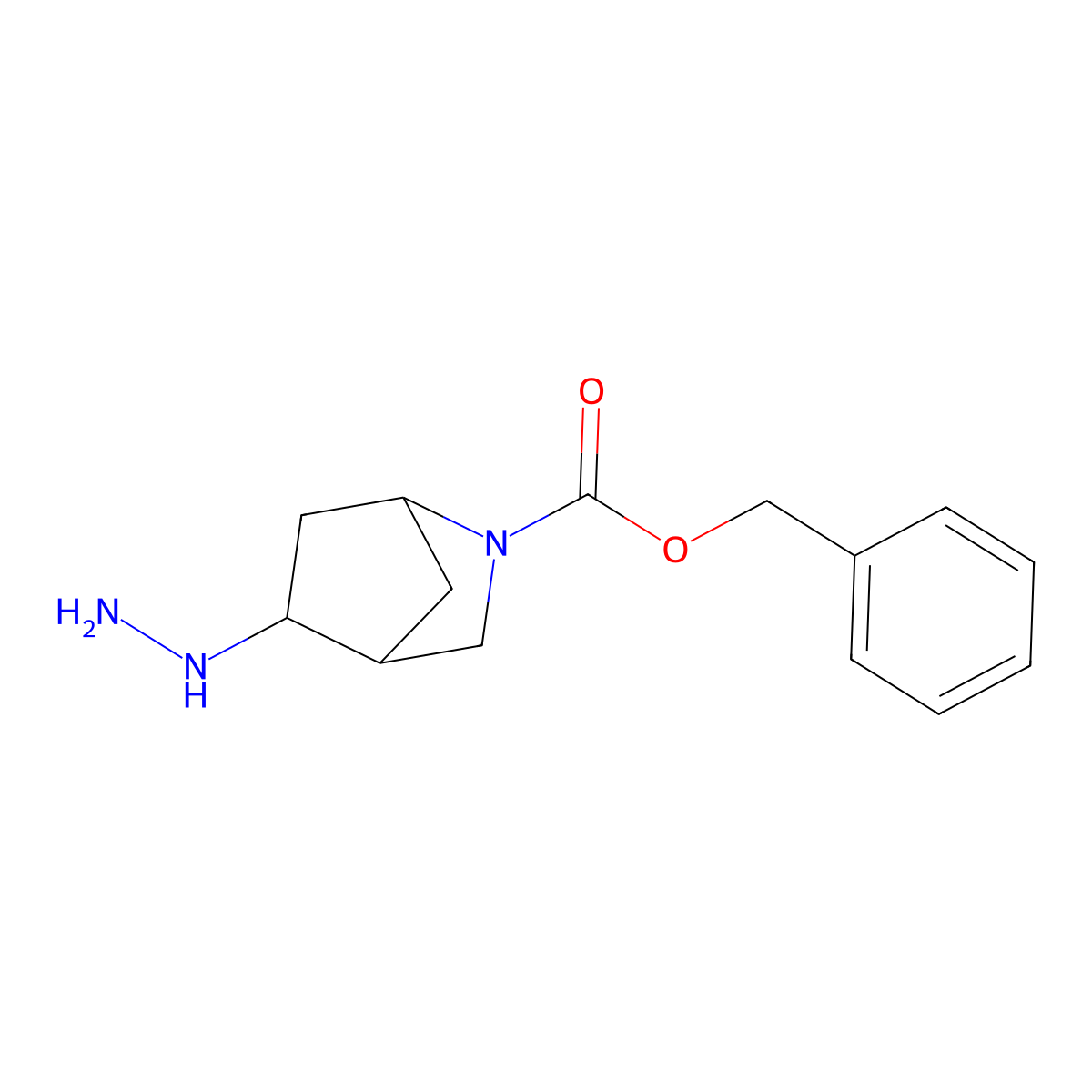 Benzyl 5-hydrazinyl-2-azabicyclo[2.2.1]heptane-2-carboxylate molecular structure, CAS 1609467-59-5