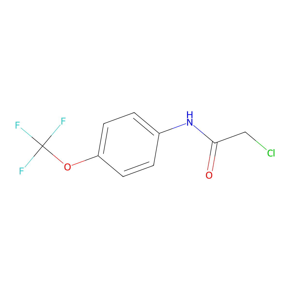 2-chloro-N-[4-(trifluoromethoxy)phenyl]acetamide molecular structure, CAS 161290-85-3