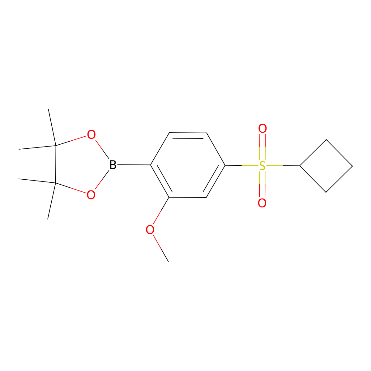 2-(4-(Cyclobutylsulfonyl)-2-methoxyphenyl)-4,4,5,5-tetramethyl-1,3,2-dioxaborolane molecular structure, CAS 1614246-42-2
