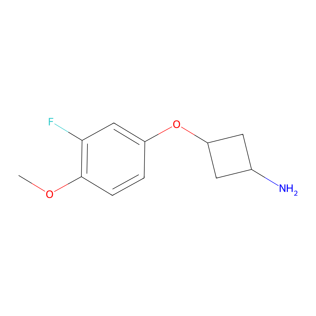 trans-3-(3-Fluoro-4-methoxy-phenoxy)cyclobutanamine molecular structure, CAS 1631027-08-1