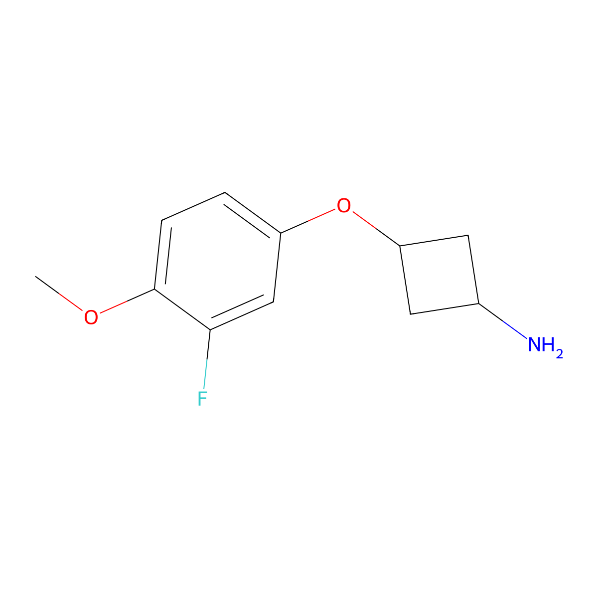 trans-3-(3-Fluoro-4-methoxy-phenoxy)cyclobutanamine molecular structure, CAS 1631027-08-1