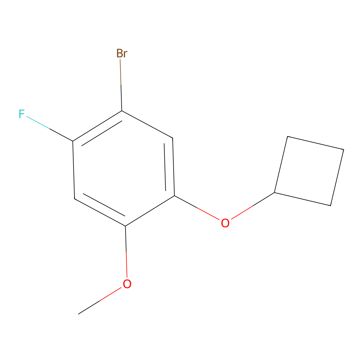 1-Bromo-5-cyclobutoxy-2-fluoro-4-methoxybenzene molecular structure, CAS 1637567-21-5
